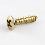 Pickguard Screws